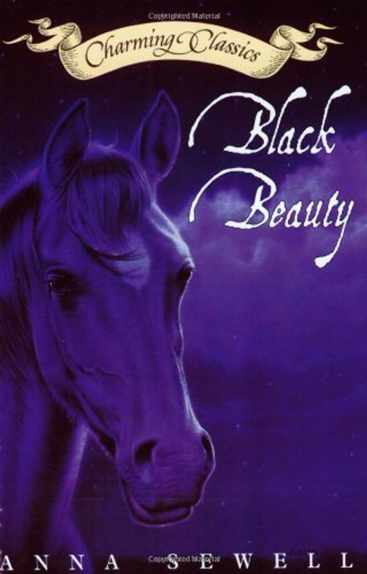 Black Beauty (Book and Charm)