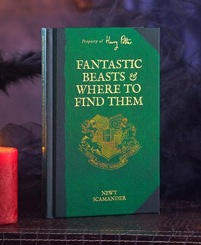 Fantastic Beasts & Where to Find Them (Harry Potter)