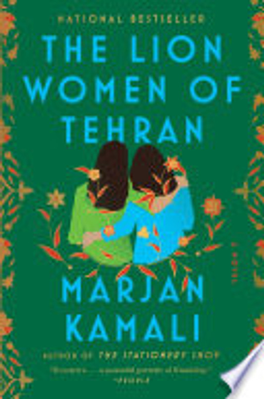 The Lion Women of Tehran