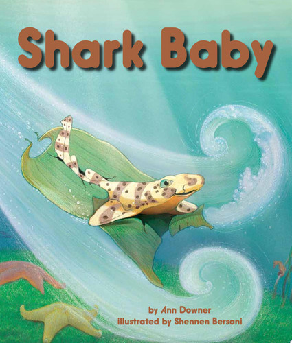 Shark Baby (U) - SKU 165482