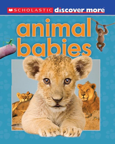 Animal Babies