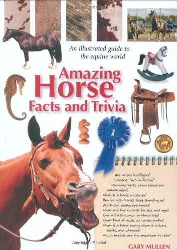 Amazing Horse Facts And Trivia