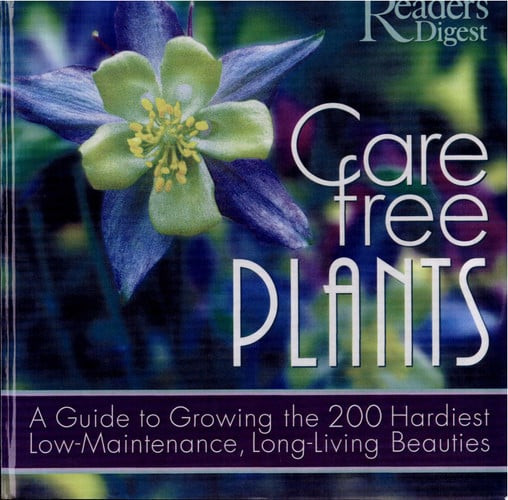 Care-Free Plants