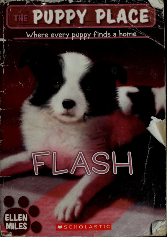 Flash