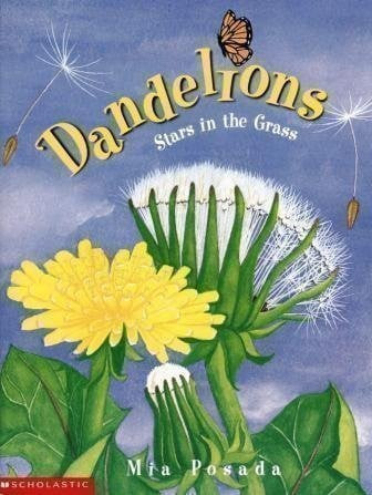 Dandelions Stars in the Grass
