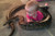 This baby loves python look at that how neat