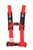 5 POINT 3" HARNESS WITH SEWN IN PADS