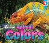 All about Animals - Animal Colors