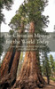 The Christian Message for the World Today
