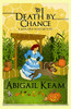 Death By Chance: A Josiah Reynolds Mystery 16