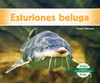 Esturiones Beluga (Beluga Sturgeons)