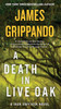 A Death in Live Oak: A Jack Swyteck Novel