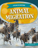 Animal Migration