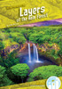 Layers of the Rain Forest