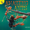Amazing Ants