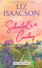 Schooled by the Cowboy: Christian Contemporary Western Romance