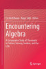 Encountering Algebra : A Comparative Study of Classrooms in Finland, Norway, Sweden, and the USA
