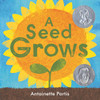 A Seed Grows
