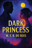 Dark Princess: A Rediscovered Book