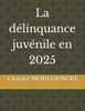 La délinquance juvénile en 2025