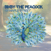 Bixby the Peacock on Maple Street
