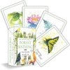 An Invitation to Forest Bathing: 52 Full-Color Activity Cards to Find Yourself in Nature