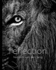 Reflection: Pocket Edition