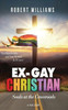 Ex-Gay Christian: Souls at the Crossroads