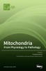 Mitochondria : From Physiology to Pathology: From Physiology to Pathology