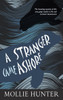 A Stranger Came Ashore