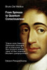 From Spinoza to Quantum Consciousness.