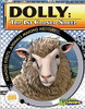 Dolly: 1st Cloned Sheep: 1st Cloned Sheep