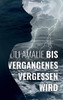 Bis Vergangenes vergessen wird (German Edition)