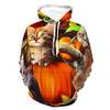 Mens Womens Skin-friendly Hoodies 3D Printed Unisex Long Sleeve Hoodie Tops Autumn Kitties Pattern Outdoor Outfit for Sports Party