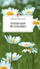 Schuld sind die Schulden. Life is a Story - story.one (German Edition)