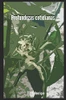 Profundezas cotidianas (Portuguese Edition)