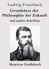 Grundsätze der Philosophie der Zukunft (Großdruck): und andere Schriften (German Edition)