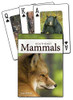 Mammals of the Southeast Playing Cards (Nature's Wild Cards)