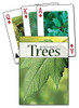 Trees of the Northeast Playing Cards (Nature's Wild Cards)