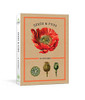 Seeds and Pods: 24 Postcards (New York Botanical Garden)