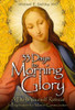 33 Days to Morning Glory: A Do-It-Yourself Retreat In Preparation for Marian Consecration