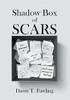 Shadow Box Of Scars