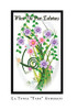 When The Vine Entwines - 9781664189850