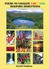 Poems To Navigate Caribbean Diaspora Disruptions