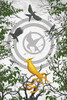 The Ballad of Songbirds and Snakes Journal (Hunger Games)