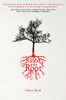 Blood At The Root