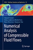 Numerical Analysis Of Compressible Fluid Flows