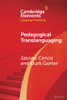 Pedagogical Translanguaging