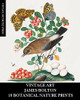 Vintage Art : James Bolton: 18 Botanical Nature Prints: Ephemera For Framing, Home Decor, Collage And Decoupage