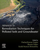 Advances In Remediation Techniques For Polluted Soils And Groundwater